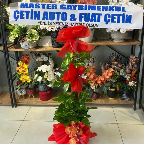 ÖZEL GÜN SAKSI ÇİÇEĞİ CANLI ORTA BOY